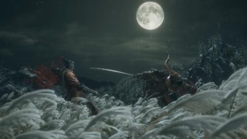 Sekiro Shadows Die Twice 071540,3